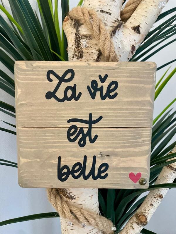 La vie est belle