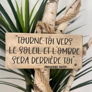 Tourne toi vers le soleil et l’ombre sera derrière toi