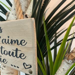 Viens on s’aime pour toute la vie